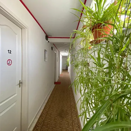 Hargita Panzio Guest house Vecses